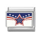 American Flag 10