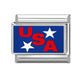 American Flag 15