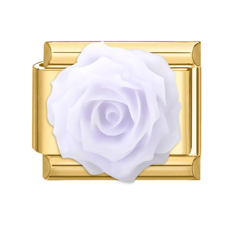White Rose