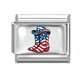 American Flag 7