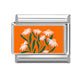 Flower 5