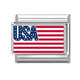 American Flag 12