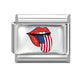 American Flag 1