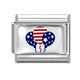 American Flag 2